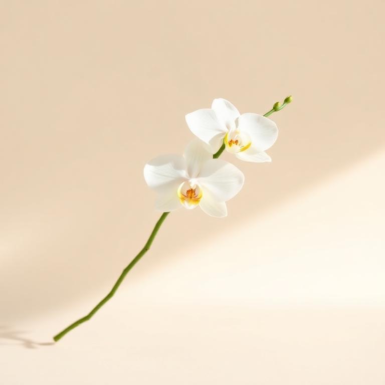 White artificial orchid